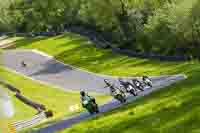 brands-hatch-photographs;brands-no-limits-trackday;cadwell-trackday-photographs;enduro-digital-images;event-digital-images;eventdigitalimages;no-limits-trackdays;peter-wileman-photography;racing-digital-images;trackday-digital-images;trackday-photos
